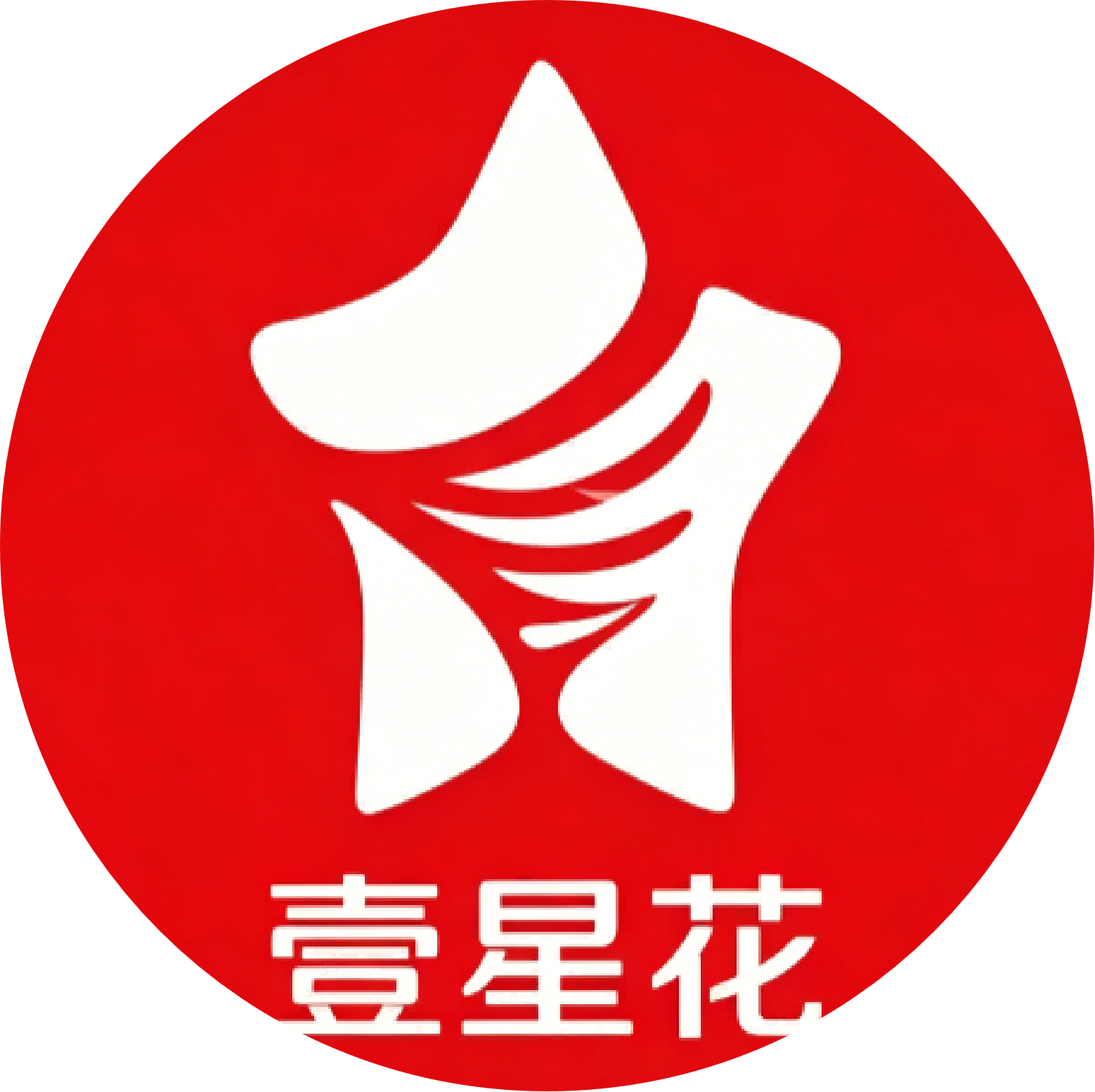壹星花